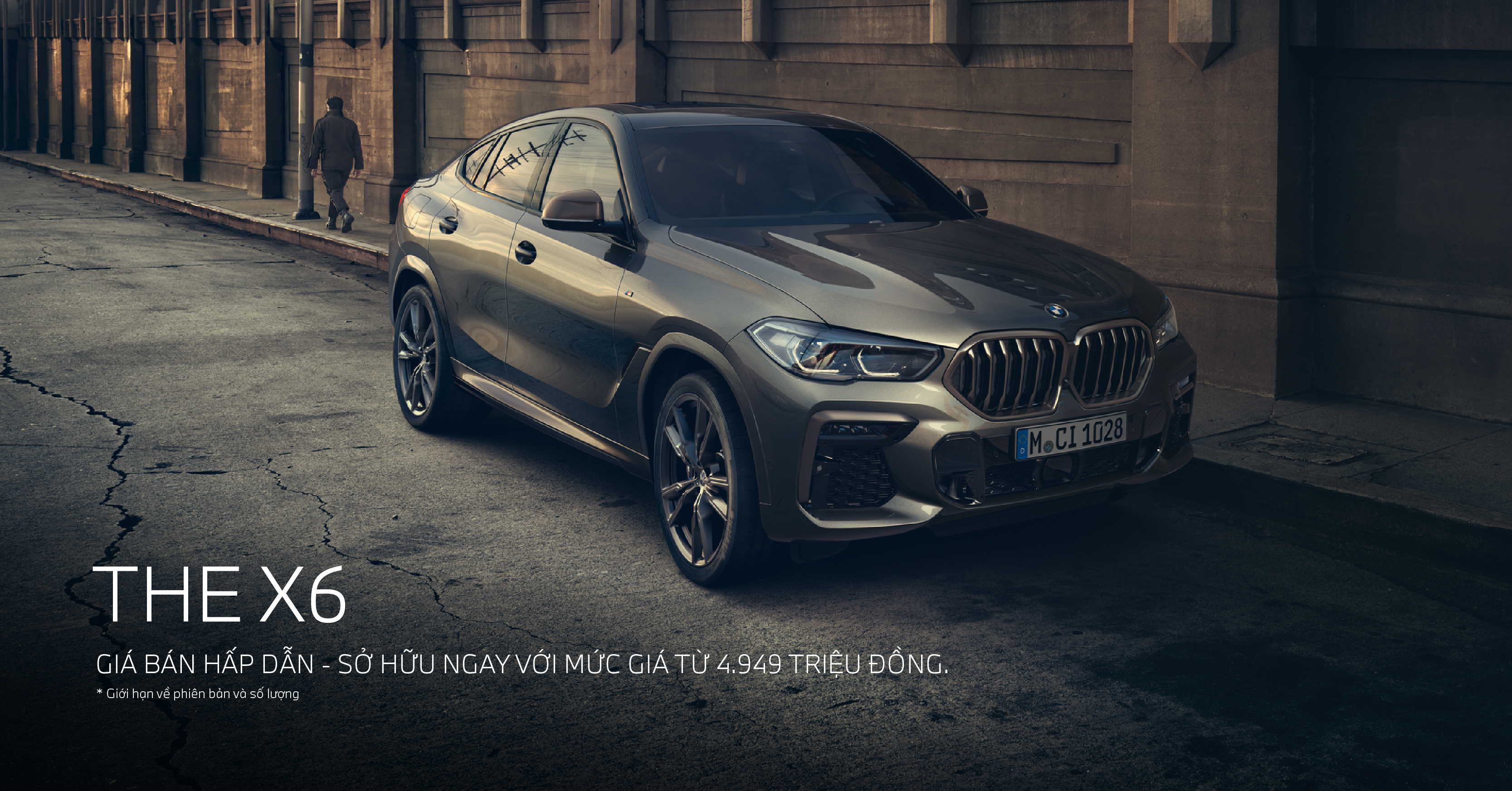 BMW THE X6